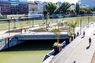 Foto von Schwimmenden Gärten Wien